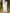 Ulivary Elegant Robe Dress & Pajama Set Bridal