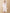 Ulivary Elegant Robe Dress & Pajama Set Bridal
