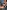 Gianine TAYLOR BROWN Ribbed High Waist Brazilian Bikini Bottom