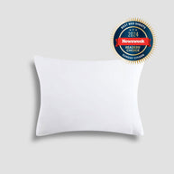 Sunday Citizen Natural Premium Bamboo Pillowcase Set (more Colors)