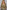 d009811d-1428-4cb1-8a3a-2ea3061e591a-Max-Origin