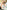d210e021-fb66-496c-9436-c7f2c1a58eed-Max-Origin