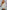 d4abf4d0-7e21-4adf-acda-da742e5bfd76-Max-Origin
