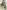 d664ad9d-4240-4c14-9b08-375a38d61eb4-Max-Origin