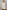 dff5f192-70ba-4c81-a32d-84415b0e070e-Max-Origin