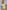 e996604f-f6ca-4e4a-9303-b9b5615cb328-Max-Origin