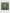 Ulivary Olive Charmeuse Floral Square Scarf
