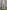 f7752daa-38d1-4f3c-b709-60d640388813-Max-Origin