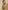 Ulivary Floral Olive Kimono Robe