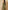 Ulivary Floral Olive Kimono Robe