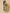 Ulivary Floral Olive Kimono Robe