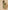 Ulivary Floral Olive Kimono Robe