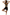 Gianine GABRIELLA BLACK Activewear Shorts