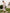 Ulivary Garden Crane Blush Kimono Robe