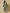Garden Crane Green Kimono Robe