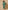 Ulivary Garden Crane Green Kimono Robe