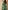 Ulivary Garden Crane Green Kimono Robe