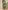 Ulivary Garden Crane Green Kimono Robe