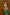 Gianine GEANNA GREEN SHINE  Cover Up Sarong