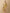 Ulivary Golden Spring Kimono Robe