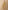 Ulivary Golden Spring Kimono Robe