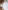 Hayden Hill 3 Mixed Organic Cotton Dust Bags (S, M, L)