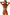 Gianine HOLLY PUMPKIN Scrunch Activewear Top