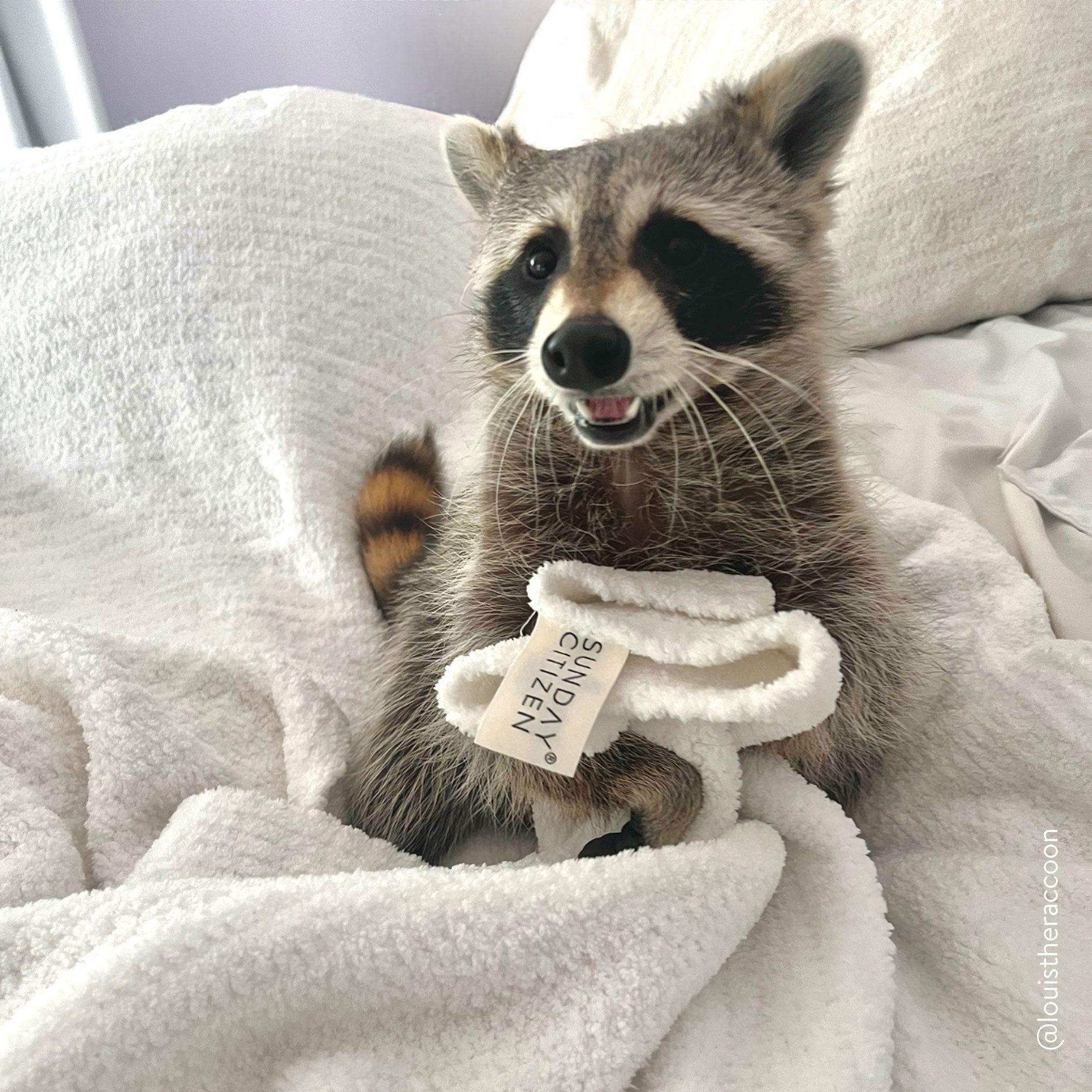 Sunday Citizen Snug Throw Blanket (more Colors)