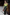 KiraGrace HIGH WAIST WIDE LEG PANT: OLIVE TWEED