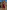 Gianine MARLO BURGUNDY Dress