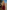 Gianine MARLO BURGUNDY Dress