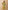 Ulivary Perched Bird Kimono Robe