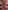 Ulivary Peacock Red Kimono Robe