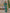 Ulivary Garden Crane Green Kimono Robe