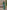 Ulivary Garden Crane Green Kimono Robe