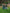 Ulivary Garden Crane Green Kimono Robe