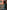 Ulivary Garden Crane Green Kimono Robe