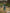 Ulivary Garden Crane Green Kimono Robe