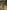 Ulivary Garden Crane Green Kimono Robe