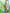 Ulivary Floral Olive Kimono Robe
