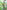 Ulivary Floral Olive Kimono Robe
