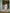 Ulivary Pink Feather Bridal Robe