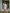 Ulivary Pink Feather Bridal Robe