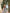 Ulivary Short Kimono Robe Blue Forest