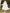 Ulivary Elegant Robe Dress & Pajama Set Bridal