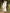 Ulivary Elegant Robe Dress & Pajama Set Bridal