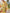 Ulivary Golden Spring Kimono Robe