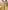 Ulivary Golden Spring Kimono Robe