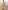 Ulivary Golden Spring Kimono Robe
