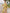 Ulivary Golden Spring Kimono Robe